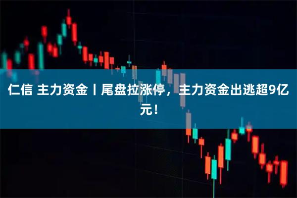 仁信 主力资金丨尾盘拉涨停，主力资金出逃超9亿元！
