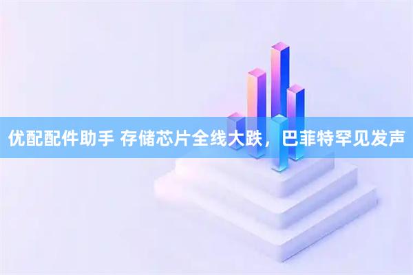 优配配件助手 存储芯片全线大跌,巴菲特罕见发声